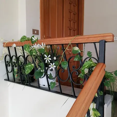 לינה וארוחת בוקר Rara Domus